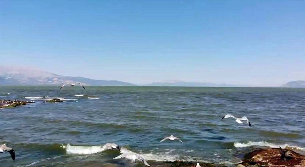 Eğirdir Gölü'nün bölünmesine 1 kilometre kaldı! Binlerce ölü su salyangozu karaya vurdu 17